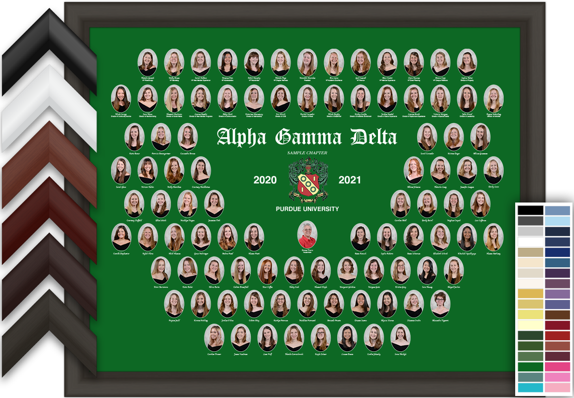 Alpha Gamma Delta Marketing Composite
